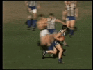Waterman1993.gif