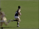 Wilson2002.gif