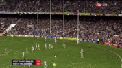 NicNat2013.gif