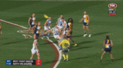 Priddis2015.gif