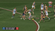 Shuey2015.gif