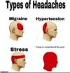9wsf4b.jpg