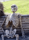 IMG_3337.gif