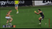 afl-bump.gif
