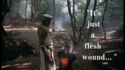 Flesh Wound.png