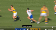 Torps vs Harley.gif