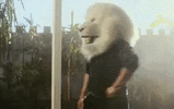 thumbs up lion.gif