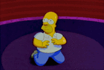 IMG_6517.gif