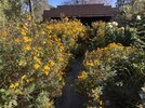 IMG_1382.jpeg