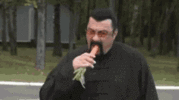 seagal-steven-seagal.gif