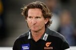 hird.jpg