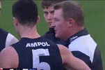 vossy.gif