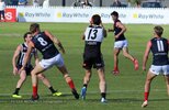 IMG_3017.jpg