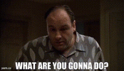 2a966a47-6897-4dbb-a3dc-1507bce82841_text.gif
