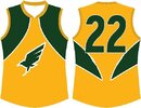 hawks yellow.jpg