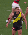 Prestia melt.gif