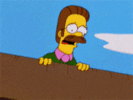 flanders.gif