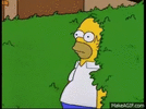 homer-bushes-gif-21.gif