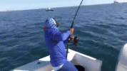 1752755953555.gif