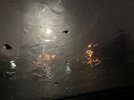 IMG_7823.jpeg