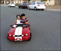 IMG_0631.gif