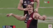 joe-daniher.gif