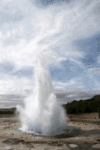 geyser-1.gif