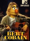 bert.jpg