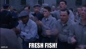 freshfish.gif