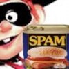 spamburglar.jpg