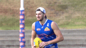 bont.gif