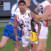 IMG_4342-2.gif