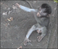 1755505927769.gif
