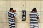 Markowitz-Captive-Prison-Market.jpg