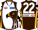 Hawthorn-2008-Clash.gif