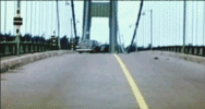 IMG_3311.gif