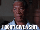 no-shits.gif