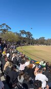 IMG_7512.jpeg