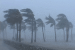 1756123216210.gif