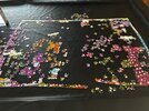 IMG_6319.jpeg