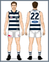 Geelong-Uniform2025W-Back.png