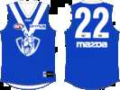 North-2007-Away.gif