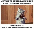 JE VAIS TE JOUER LA MUSIQUE.jpg