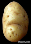 1756879771724.png