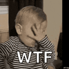 wtf-ong.gif