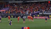 NVEExport.gif
