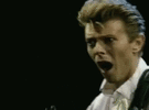 IMG_4061.gif