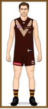 Hawthorn-Uniform2025RB.png