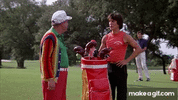 IMG_1480.gif