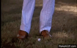IMG_1481.gif